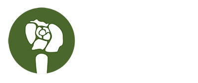 logo REFAUR