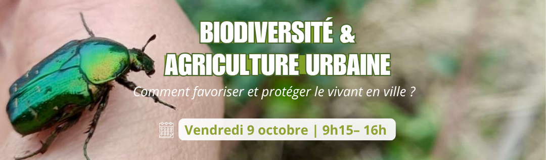 Biodiversité et agriculture urbaine – Comment favoriser et protéger le vivant en ville ?